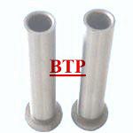 Fastener Accessories Cold Forging Die (BTP-A067)