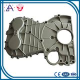 High Precision OEM Custom OEM Die Casting (SYD0047)