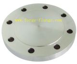 Blind Flange (1/2