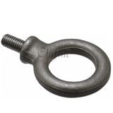 China Customized Forged Eye Bolt