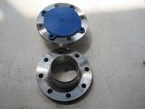 Stainless Steel Flange