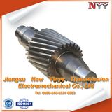 Feed Machinery Helical Gear Shaft