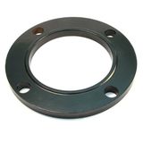 Plastic Coated Steel Flange