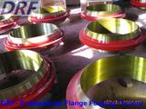 Oil Pipe Flange, Forging Flange, Stainless Steel, Alloy Steel