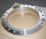 Big Slip-on Flanges