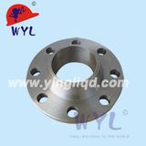 Forged Steel Flanges