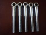 Eye Bolt