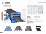 New Carriage Plate Roll Forming Machine (LM-car)