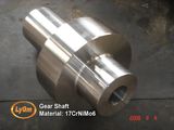 Forging-Gear Shaft