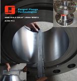 ASTM A182 F11 Weld Neck Flange