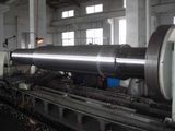 Forged Shaft/Forged Flange Shaft (A028)