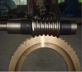 Worm and Turbo CNC Machining Part with Technology Support