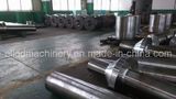 Forging Centralizer Shaft/ Forged Shaft (ELIDD-SF18A)