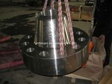 900LBS WNRF SCH10S Flanges