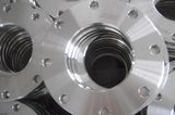 Sanitary Stainless Steel Flanges