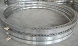 Wind Power Tower Flange, Wind Turbine Tower Flange (G008)