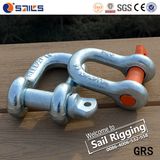 High Tensile Us Type G210 Drop Forged Dee Shackle