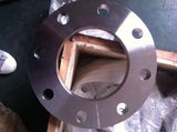 Acciaio Inox Plate Flange