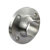 Leading Steel Flanges Manufacturer