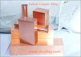 Class 3 Beryllium Copper C17510 for Projection Welding Dies