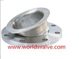 Wcb Flange for Valve (P32)