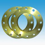 Casting Flange