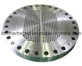 Forged Flange Tube Sheet Stainless Steel Flange