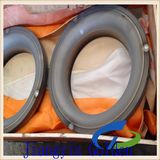 ASTM Tp316L Ss Nitriding Flange