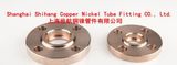 Cuni 90/10 Copper Nickel Flange