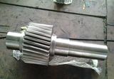 Gear Shaft