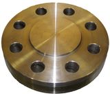 Forged/Forging Flange