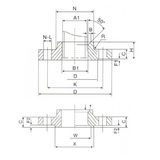 Blind Flange