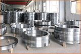 Seamless Rolled Steel Ring (R0010)