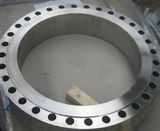 Forging/Forged Flange