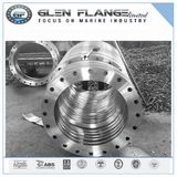 Stainless Steel Plate Flange