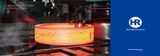 Free Forging/ Ring Forging Flange