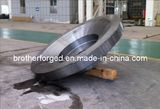 High Quality Forging Tube Sheet for Pressure Vessel/Heat Exchanger