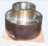 Forged Flange for Husky/ Flange/Forging