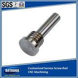 Customized Service Screw Rod with CNC Machining