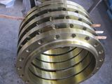 Carbon Steel Flange (0.5-48'')