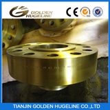 Asme B16.5 Forged Blind Flange