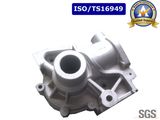 Automobile Water Pump OEM