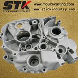 Aluminium High Pressure Die Casting Auto Parts