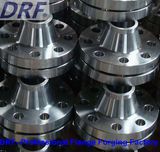 Petrochemical Flange (ANSI DIN GOST)