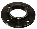 Carbon Steel Flange