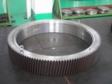 Gear Ring (LYR037) 