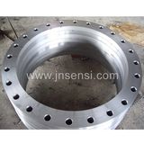 Carbon Steel Forged Flanges