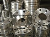 Forging Stainless Steel Flange