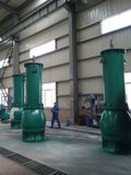 Reasonable Structure Vertical Mixed Flow Pumps (700VXL)