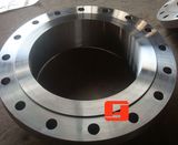 Forged Flanges